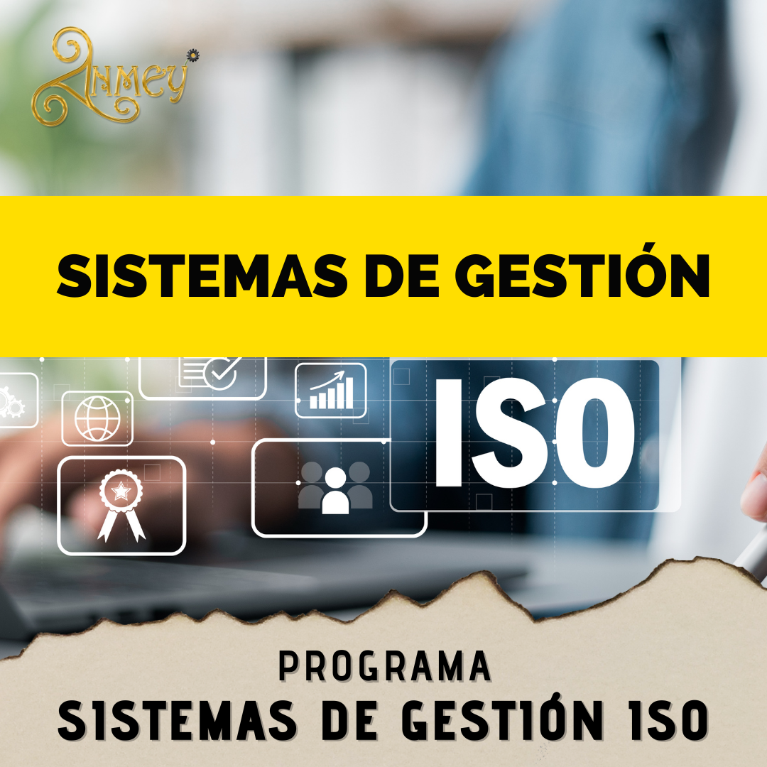 sistemas-de-gestion