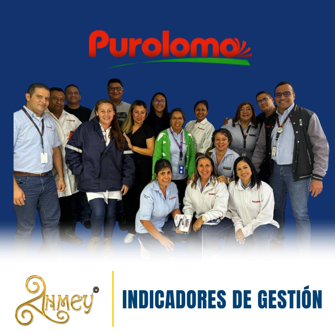 Indicadores de gestion purolomo